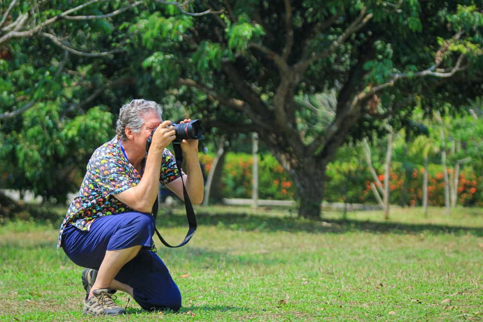 Photographed in Chiang Mai, Thailand