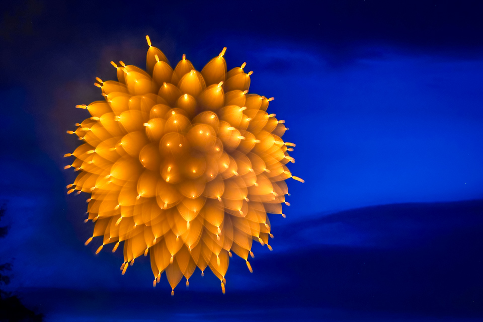 Golden Virus in Highlands, North Carolina