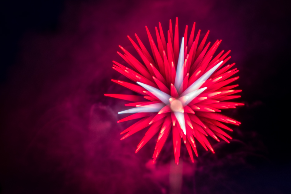 Red Burst in Highlands, North Carolina