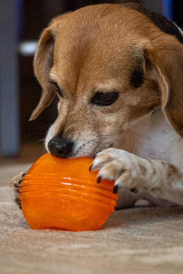 How Can I Get That Treat in Highlands, North Carolina