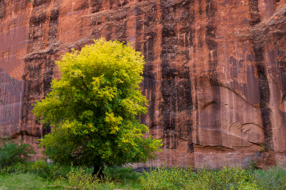 Green and Red in Chinle, Arizona