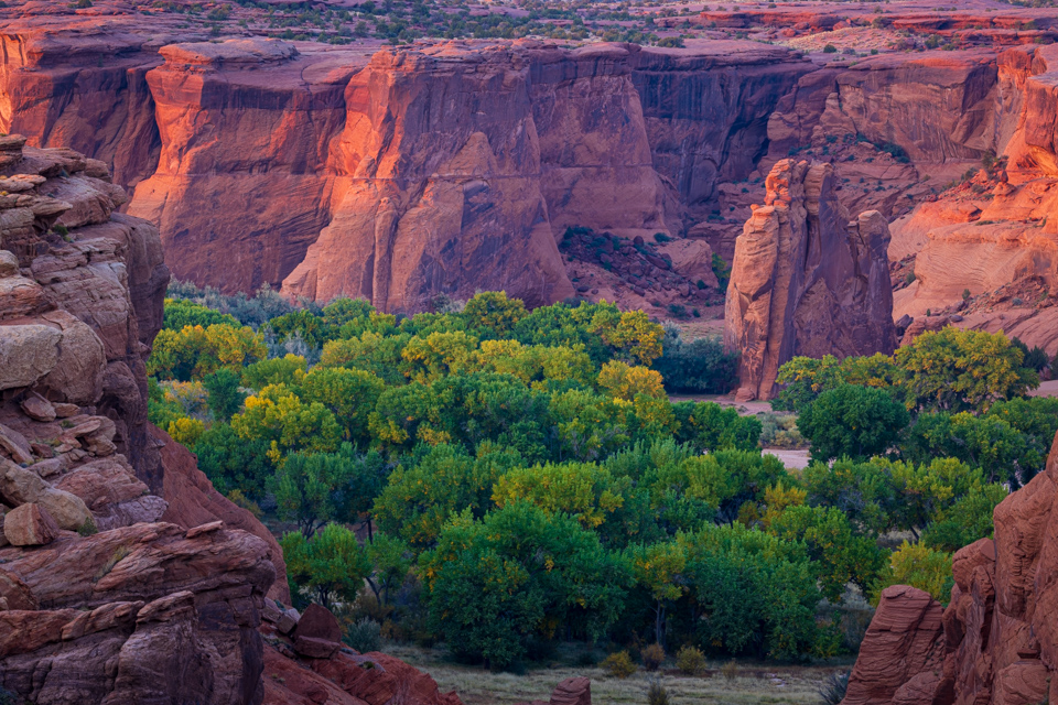 Tunnel Canyon Overlook in Chinle, Arizona