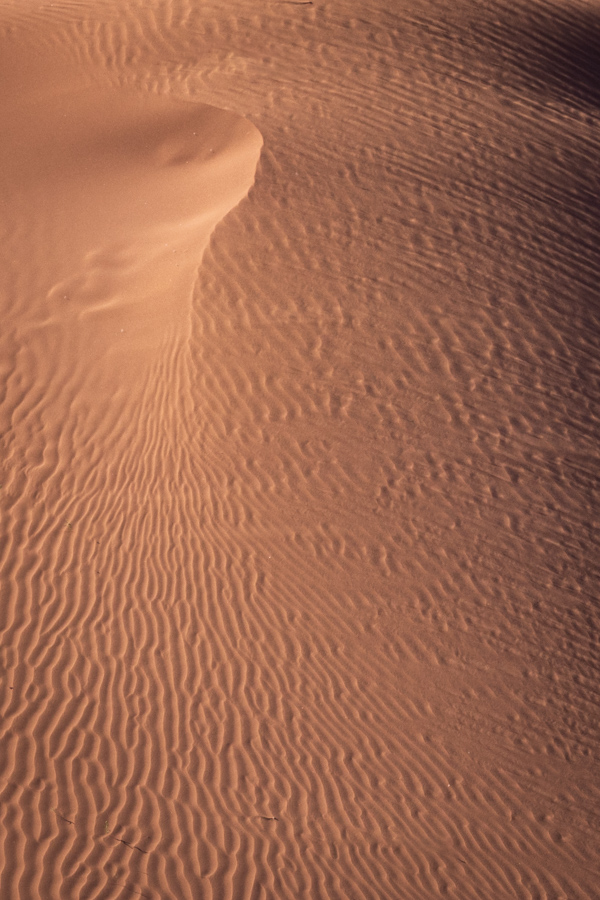 Small Wave in Chinle, Arizona