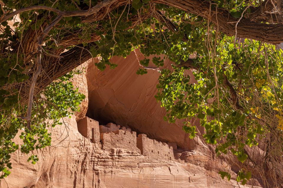 Cottonwood Frame in Chinle, Arizona