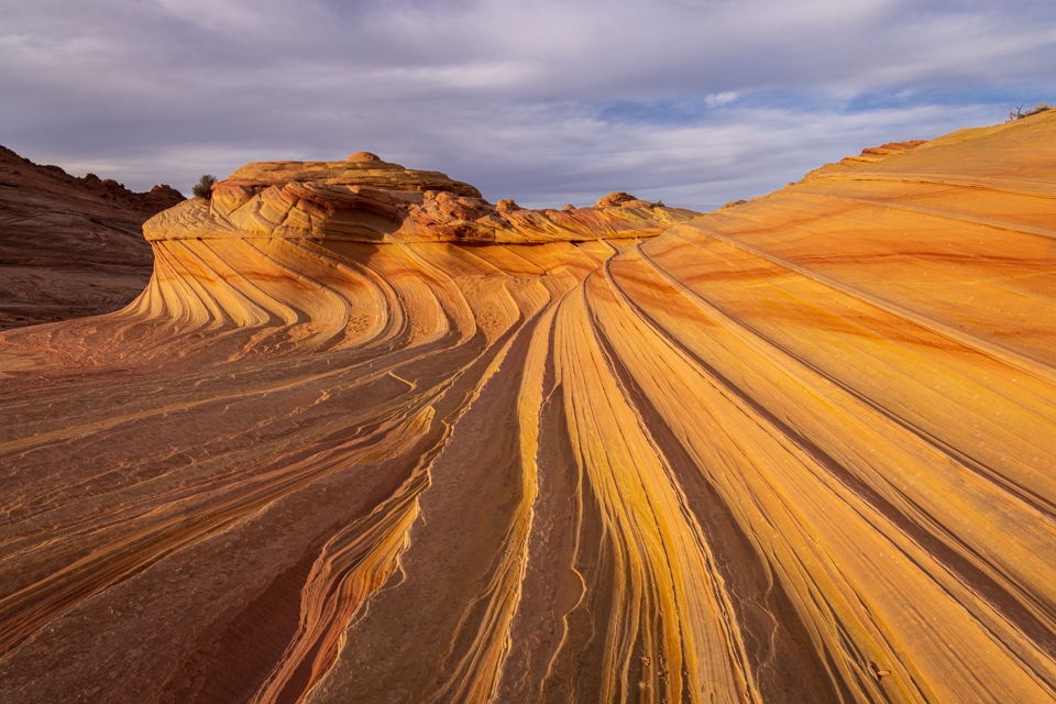 Second Wave in North Coyote Buttes, Arizona