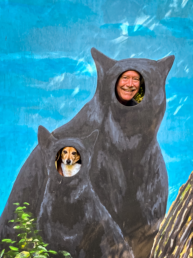 Big Bear and Little Bear in Highlands, North Carolina