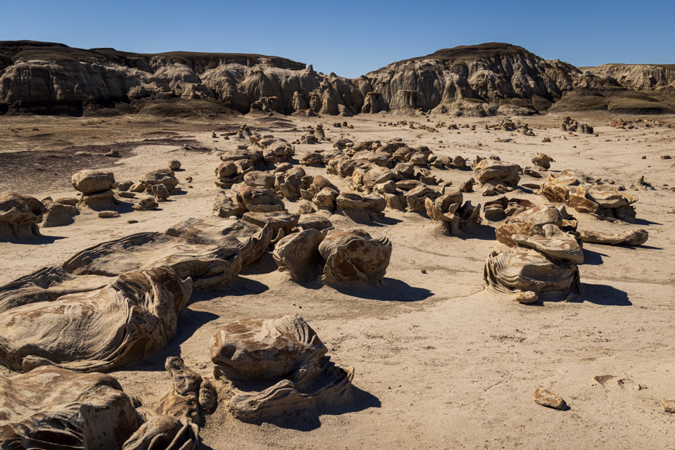 Dinosaur Eggs in Farmington, New Mexico