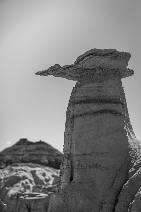 Bird Hoodoo in Farmington, New Mexico