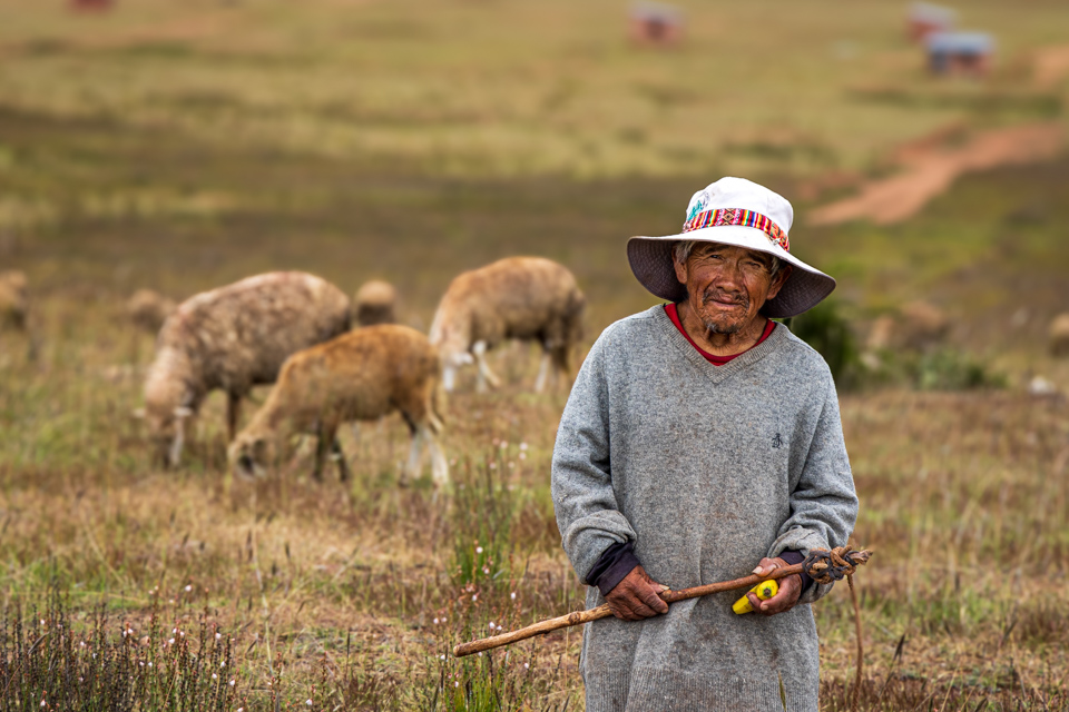 Shepherd in Sacred Valley, Peru