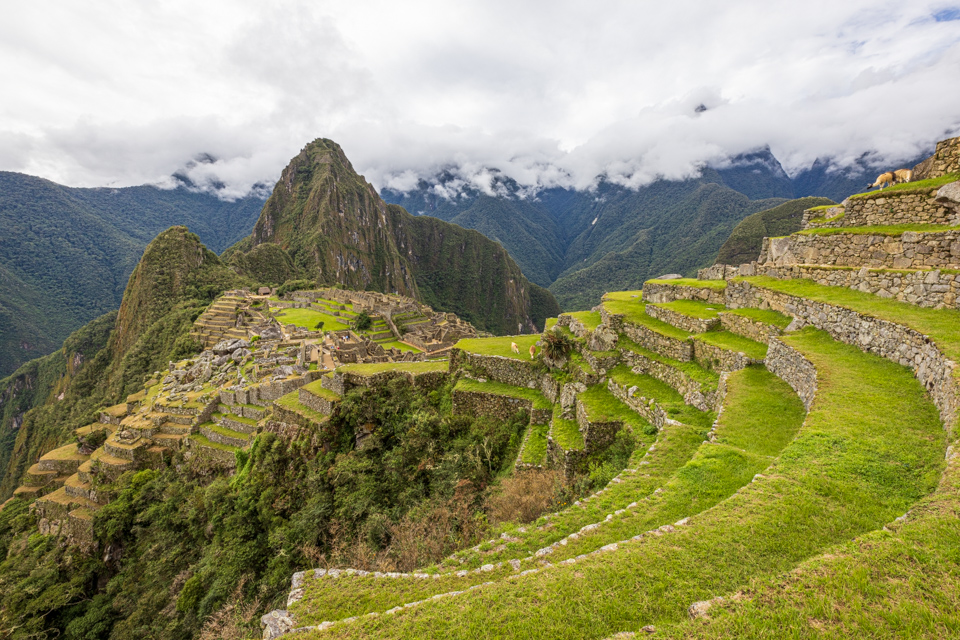 Terraces at Machu Picchu in Sacred Valley, Peru