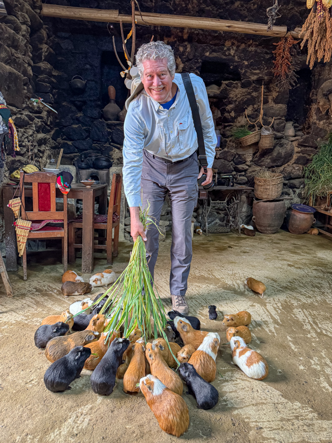 Cuy Breakfast in Sacred Valley, Peru
