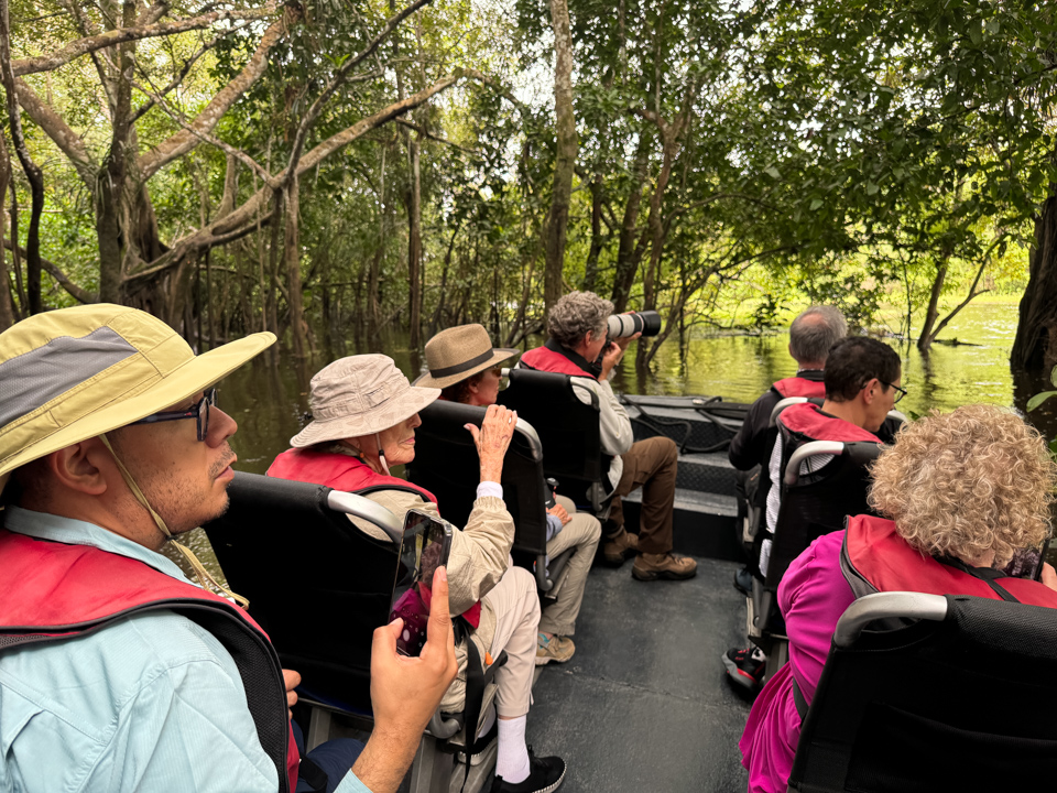 Boat Safari in Amazon, Peru