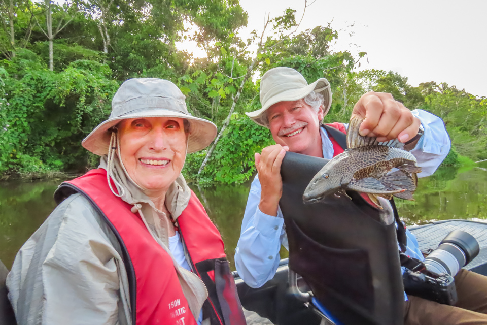 Catfish in Amazon, Peru