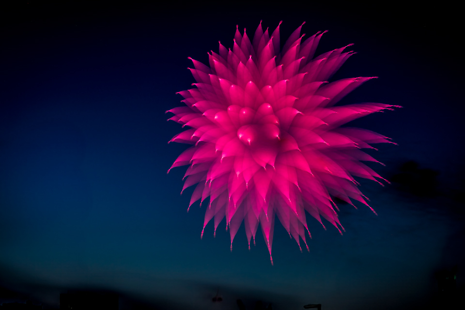 Scarlet Burst in Highlands, North Carolina