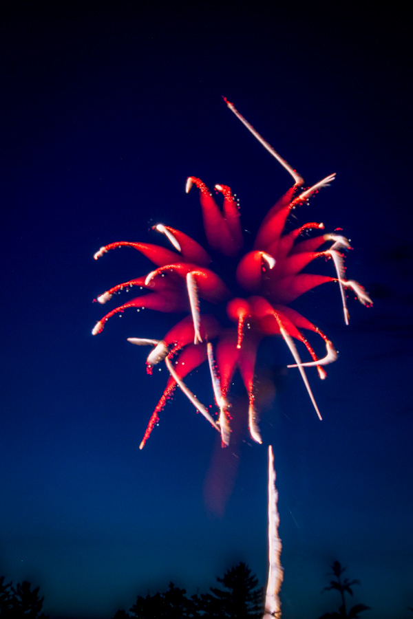Flower Fireworks in Highlands, North Carolina