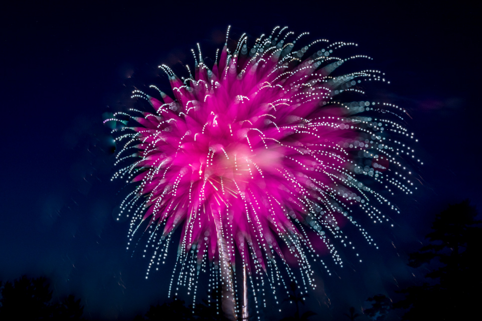 Pink Burst in Highlands, North Carolina