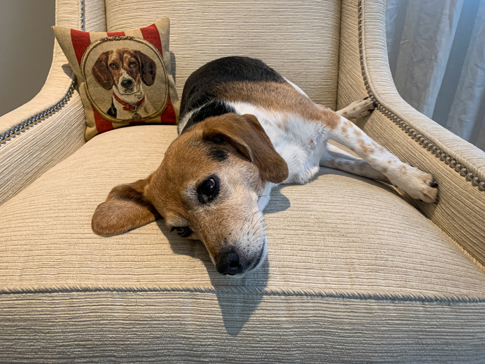 Long Walk = Long Nap in Paradise Valley, Arizona