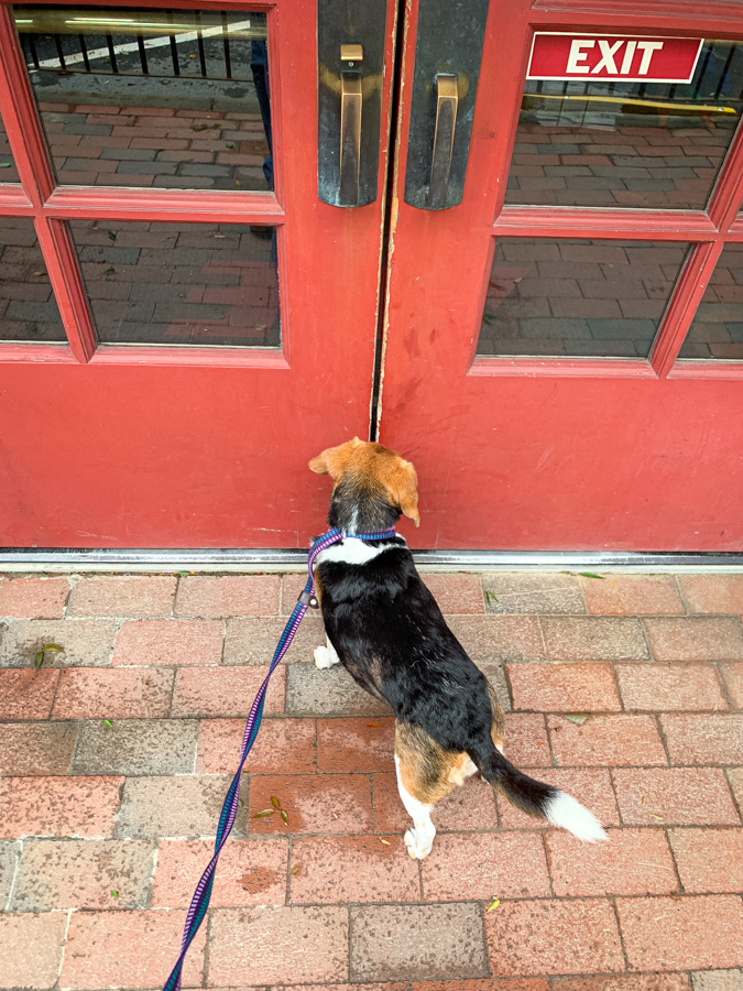 No Treat at ACE in Highlands, North Carolina