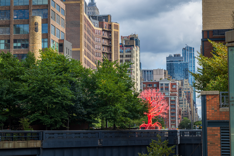 Red Tree in New York, New York