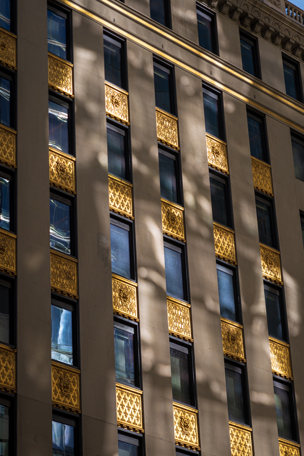 Reflections in New York, New York