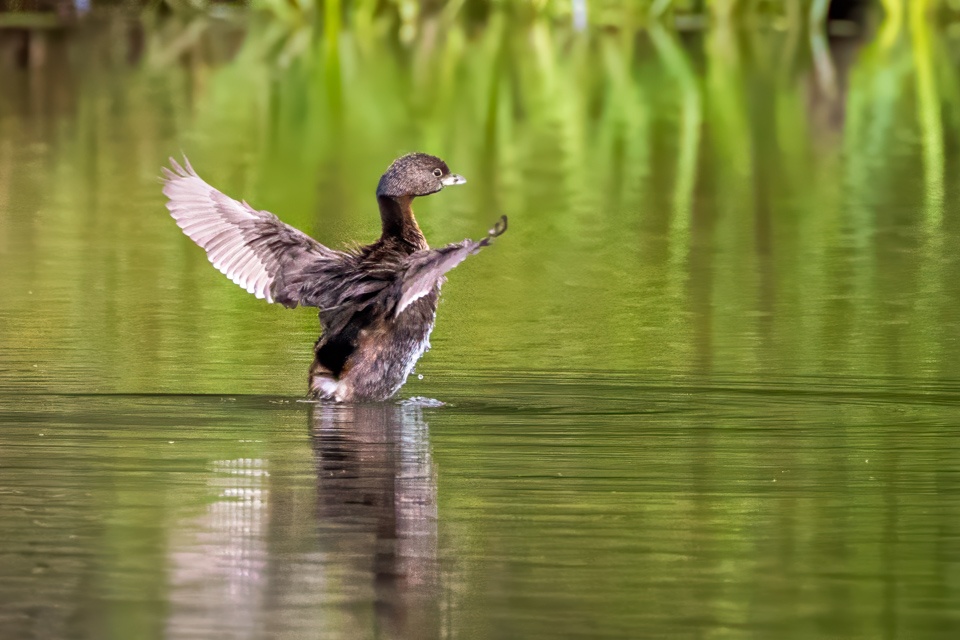 Drying Off in Highlands, North Carolina