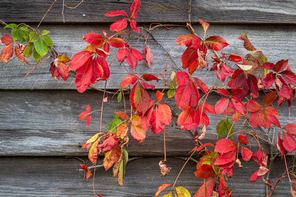 Barn Decoration in Highlands, North Carolina
