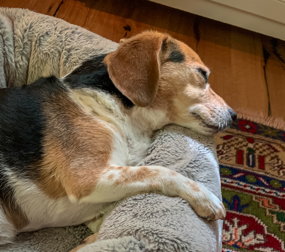 Afternoon Nap in Highlands, North Carolina