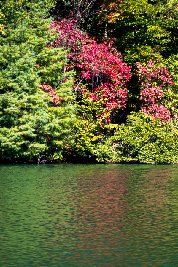 Start of Color in Devils Fork State Park, South Carolina