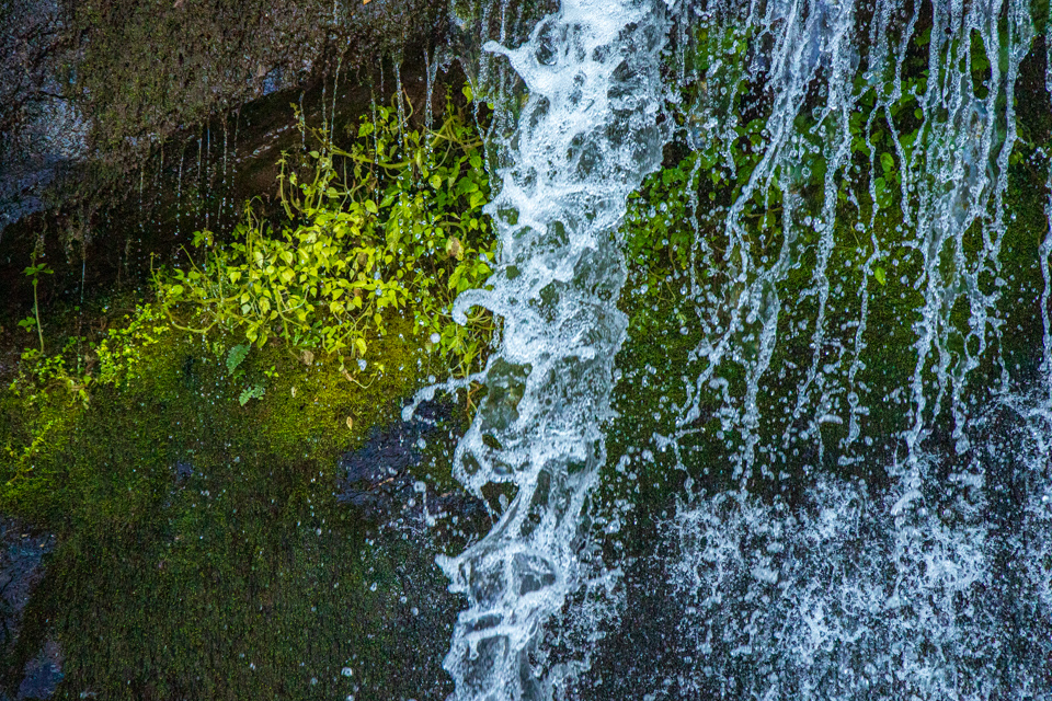 Water Curls in Devils Fork State Park, South Carolina