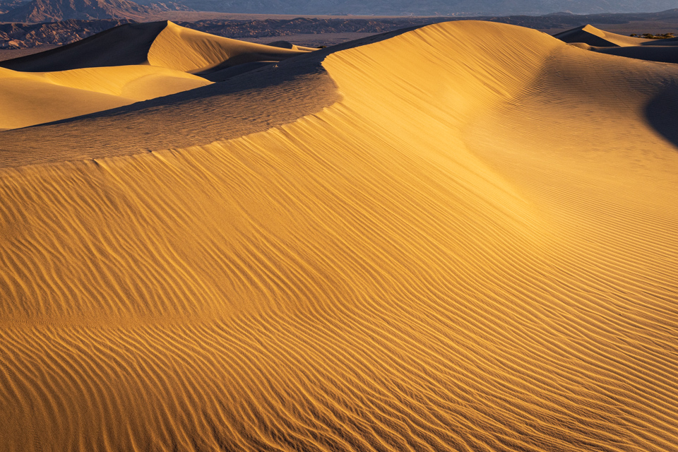 Sand Wave in Death Valley, California