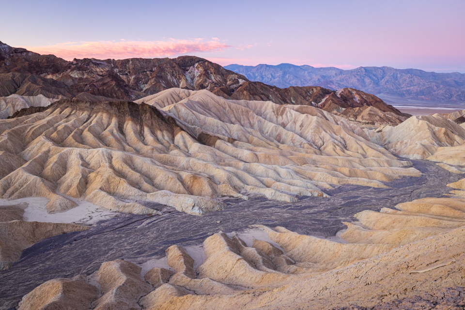 The Octopus in Death Valley, California