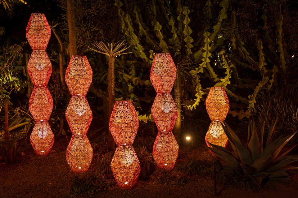 Cactus Light in Phoenix, Arizona