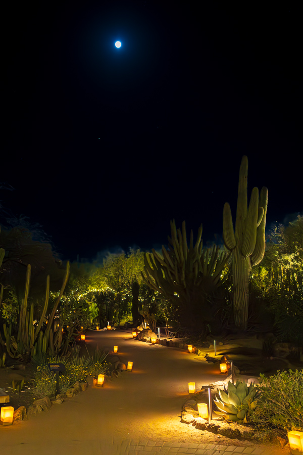 Moon Walk in Phoenix, Arizona