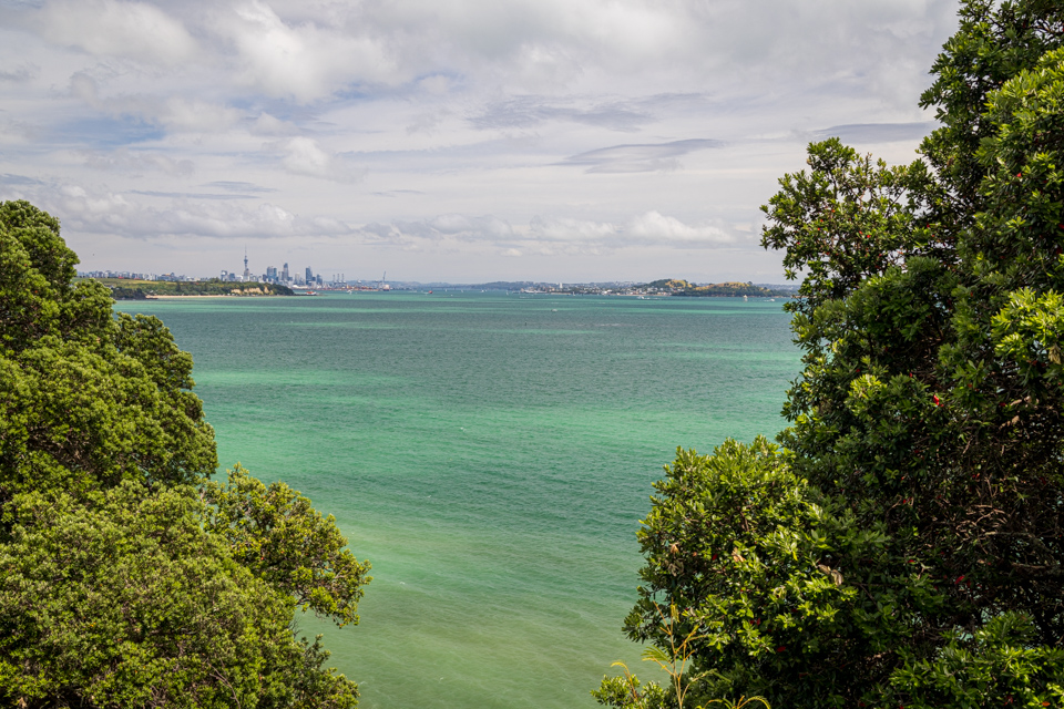 Achilles Point in Auckland, New Zealand