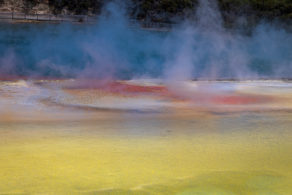Thermal Colors in Auckland, New Zealand