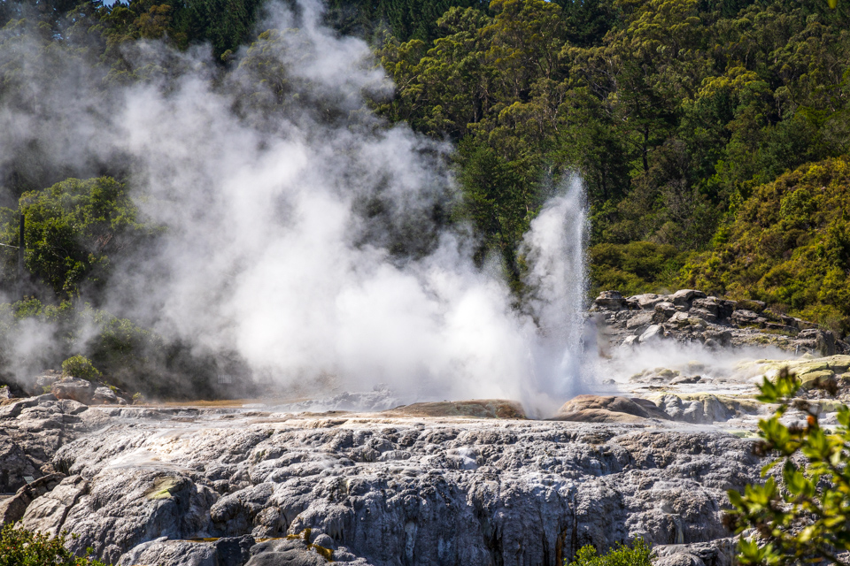 Pohutu Geyser in Rotorua, New Zealand