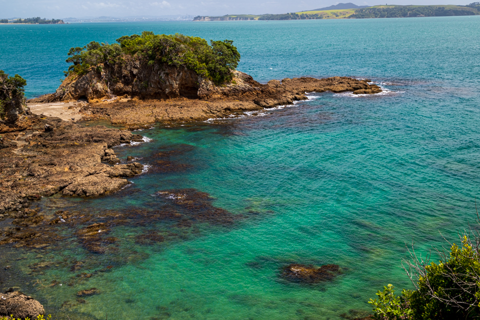 Green Water in Waiheke Island, New Zealand