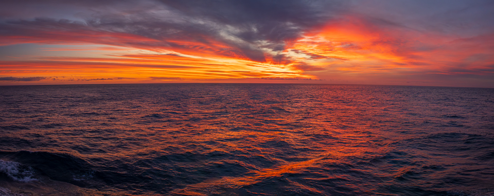Ocean Sunset in Wellington, New Zealand