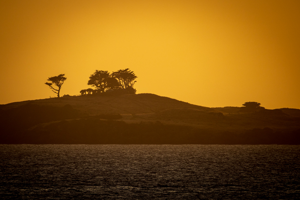 Not African Sunrise in Stewart Island, New Zealand
