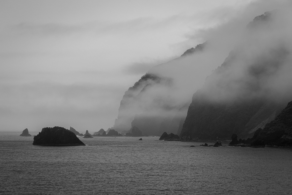Foggy Shore in Fiordland National Park, New Zealand