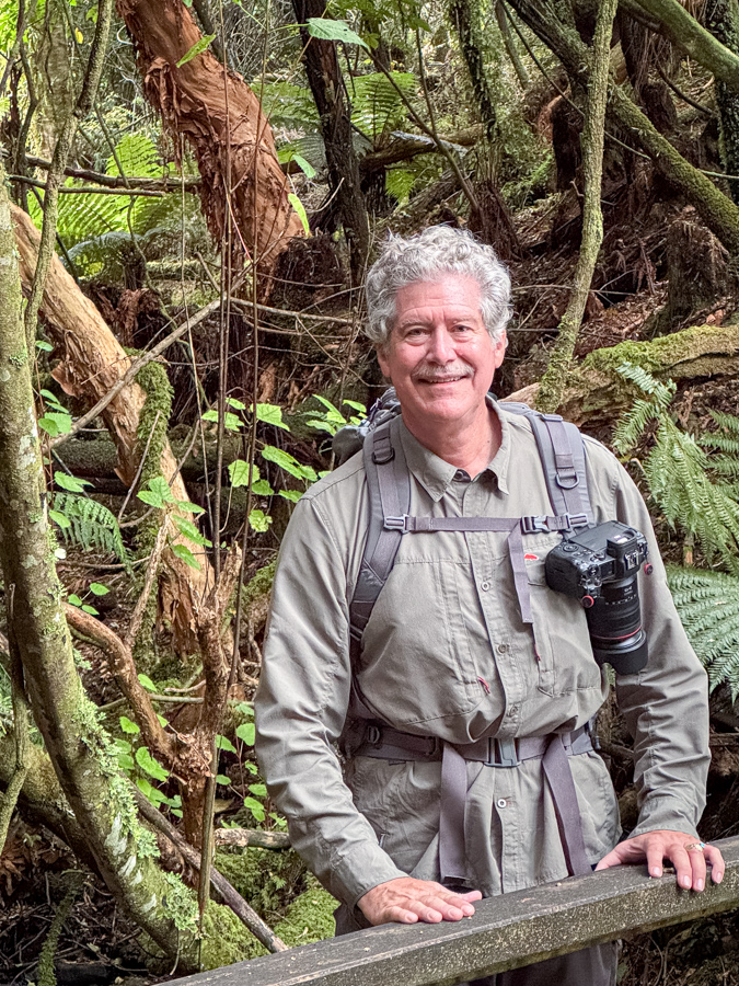 On the Trail in Stewart Island, New Zealand