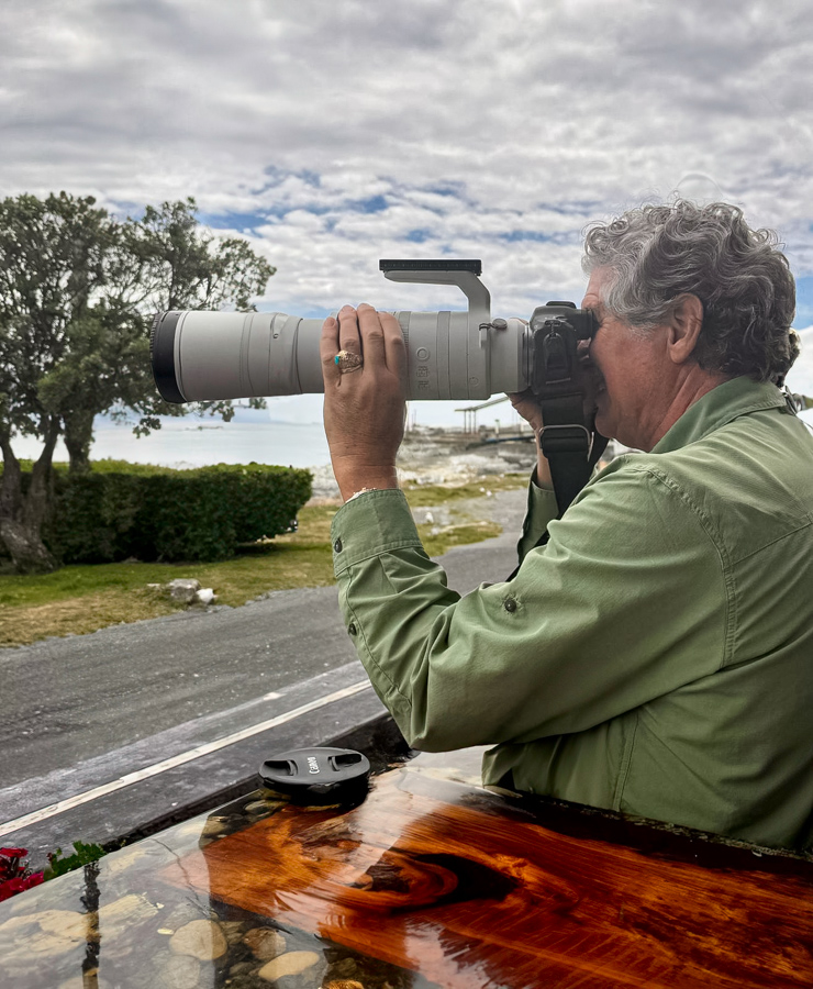 Long Lens in Kaikoura, New Zealand