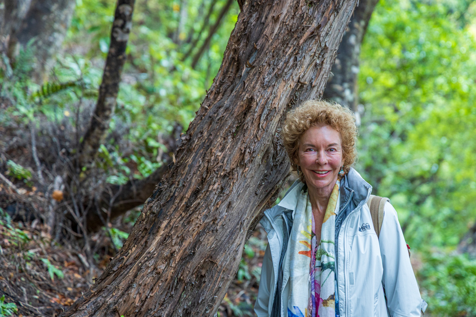On the Trail in Stewart Island, New Zealand