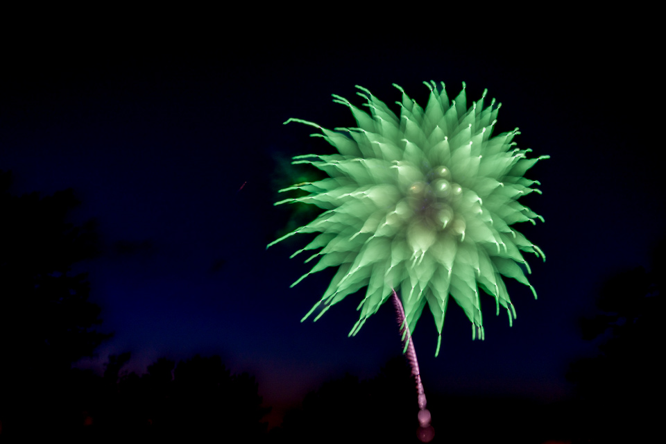 Green Flower in Highlands, North Carolina