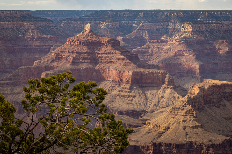 The Grand Canyon in Grand Canyon, Arizona