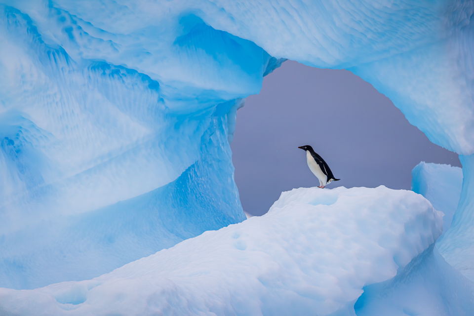 Penguin Window in Paradise Bay, Antarctica