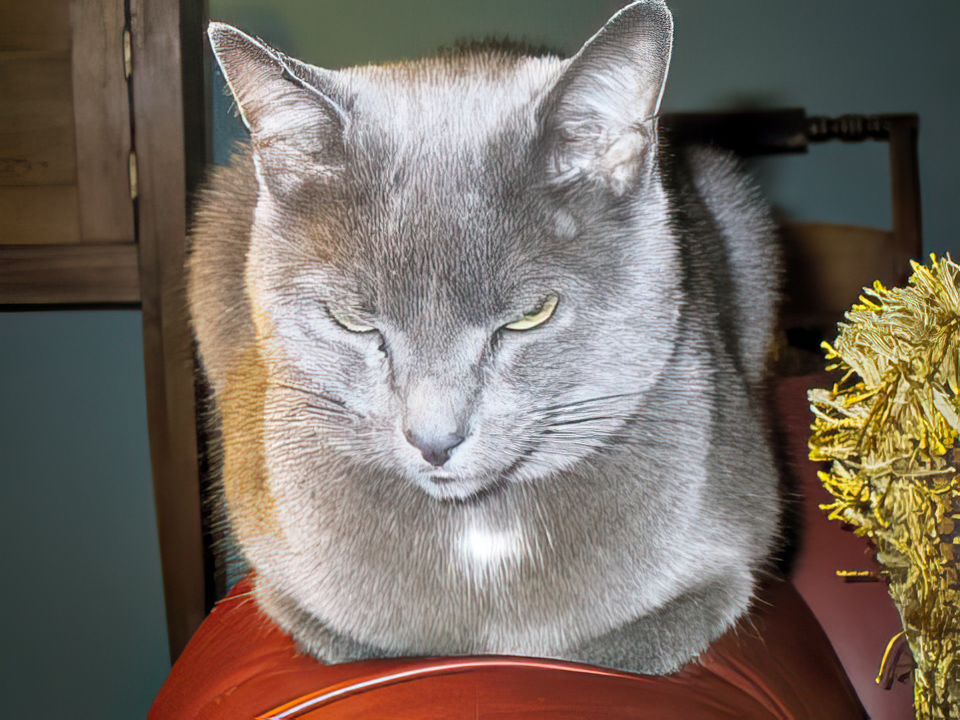 Max