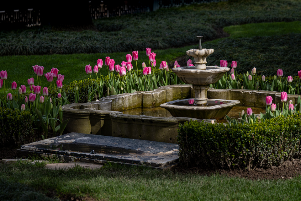 Tulip Fountain in Istanbul, Türkiye