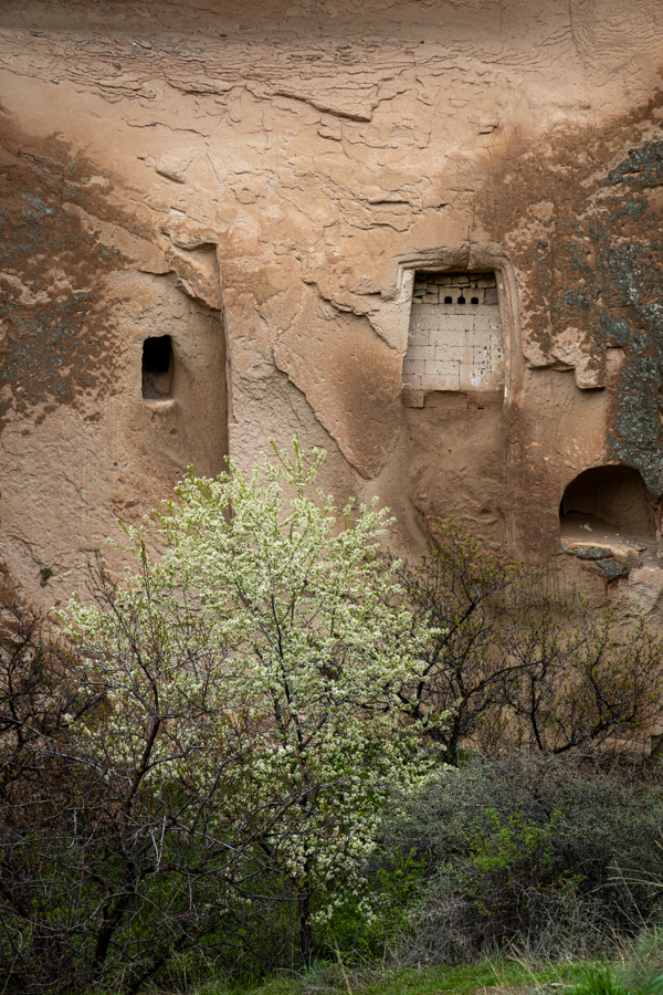Cave Bird House in Cappadocia, Türkiye