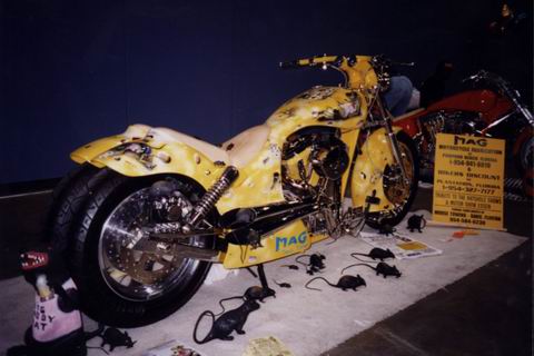 Rat Custom in Daytona, Florida
